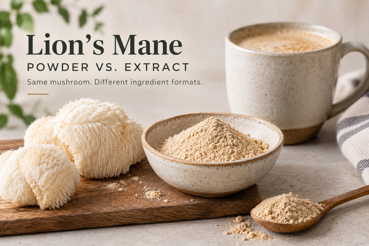 Lion’s Mane Mushroom Powder vs. Extract: What’s the Difference?
