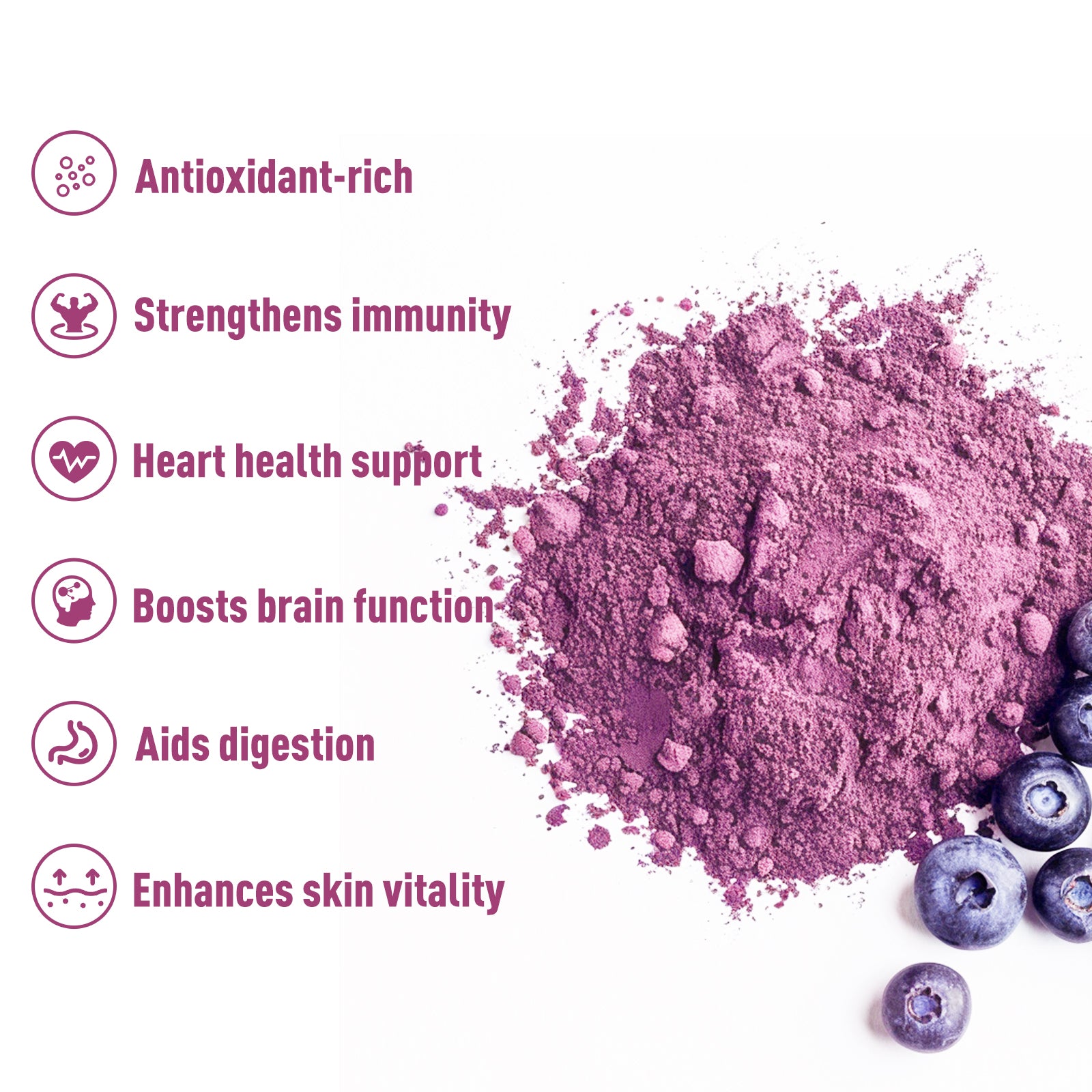 Organic Blueberry Juice Powder 16 oz