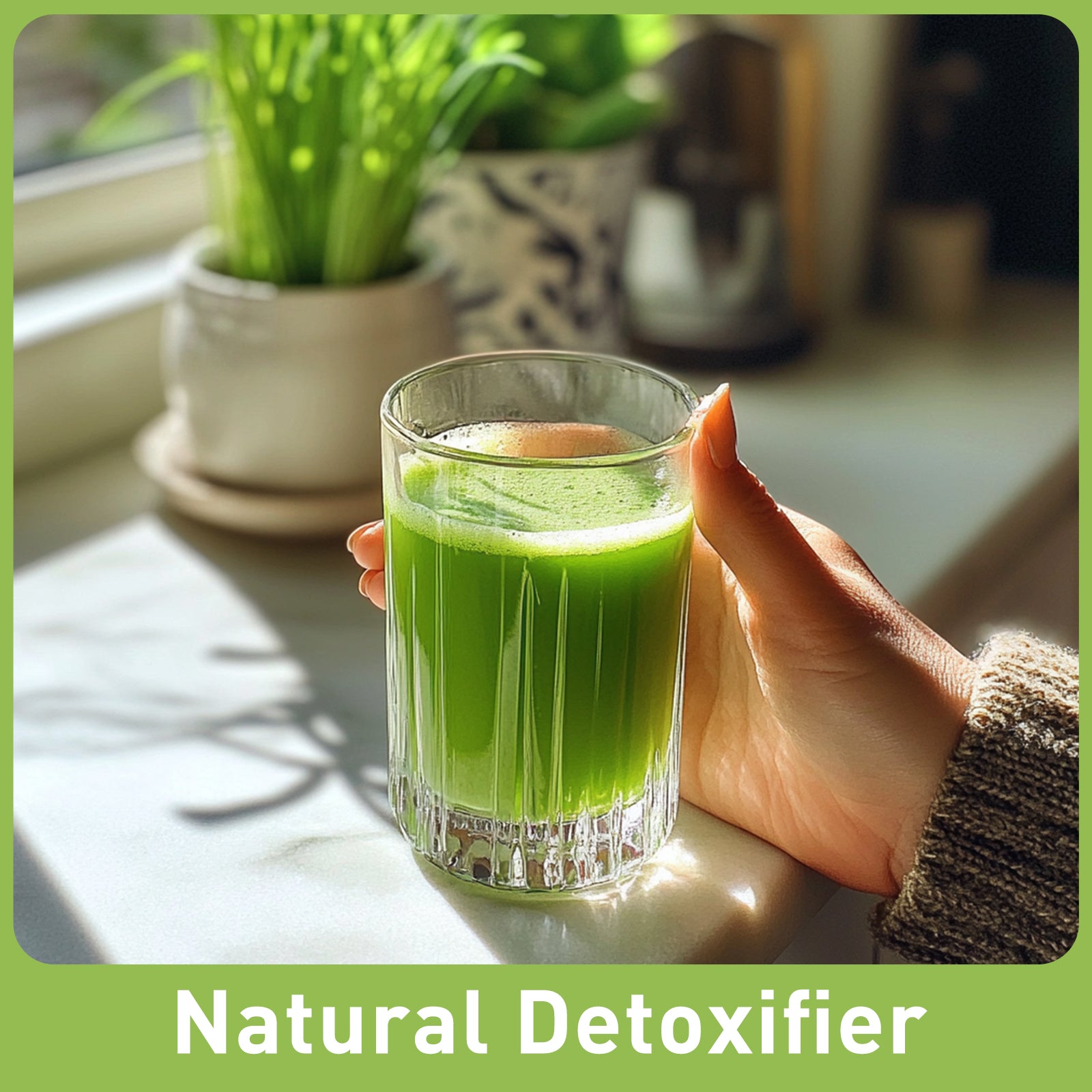 Organic Wheat Grass Juice Powder 16 oz