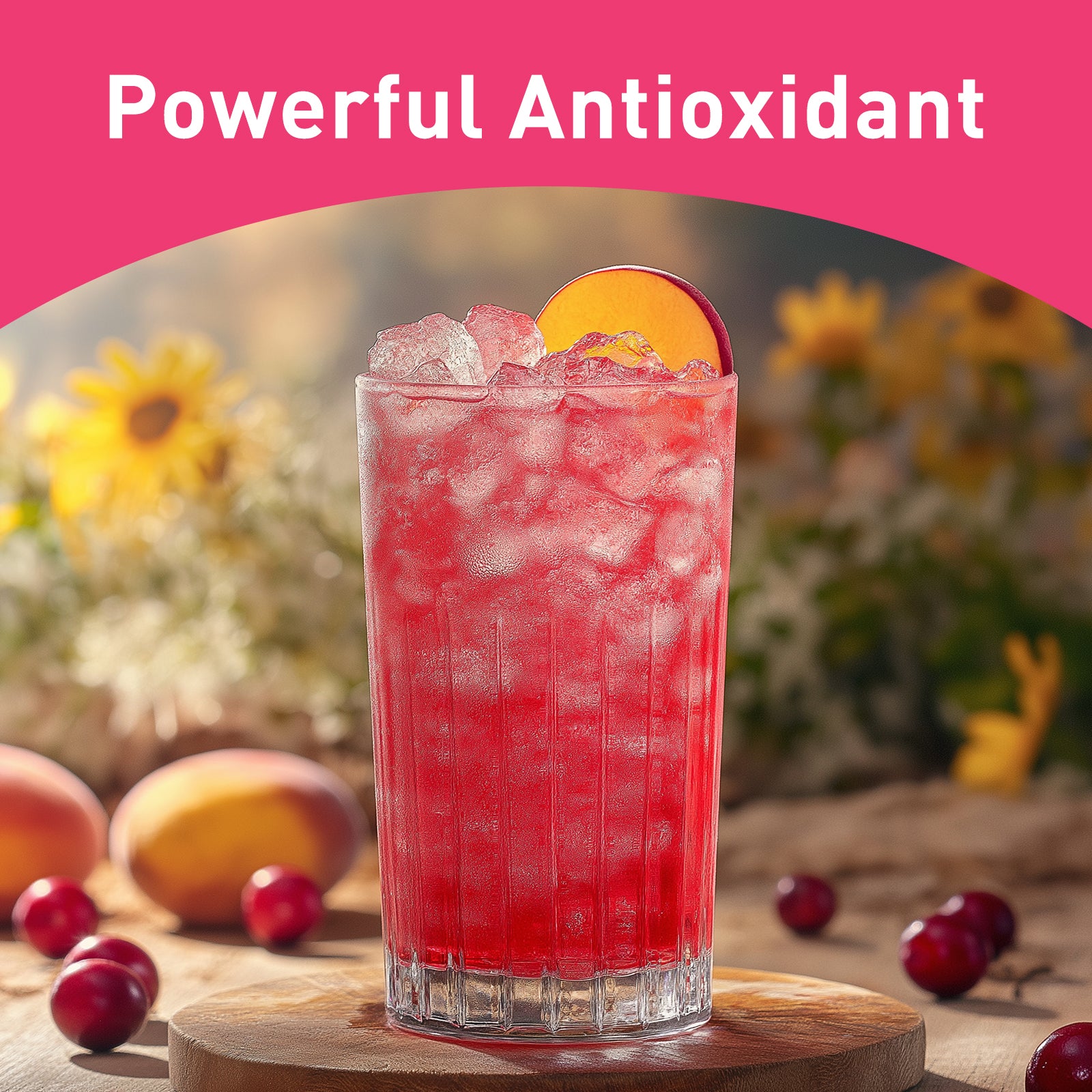 Organic Cranberry Juice Powder 16 oz