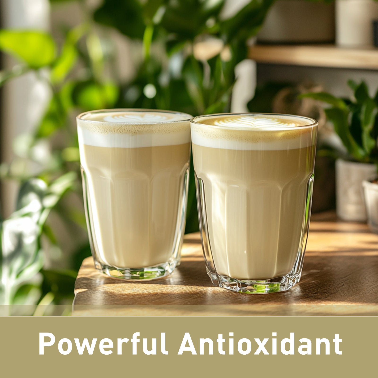 Organic Mung Bean Protein Powder 16 oz