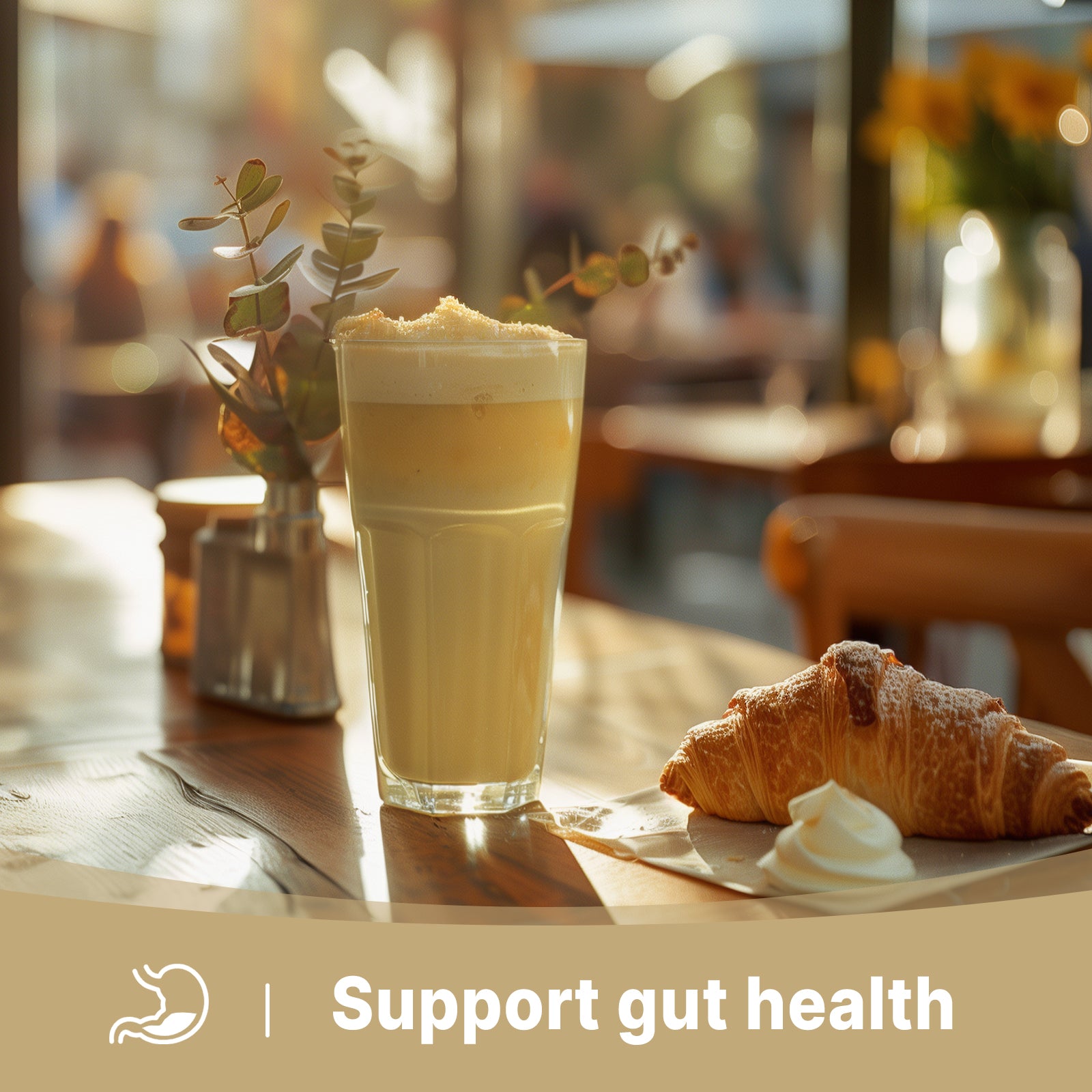 Organic Oyster Mushroom Powder 16 Ounce