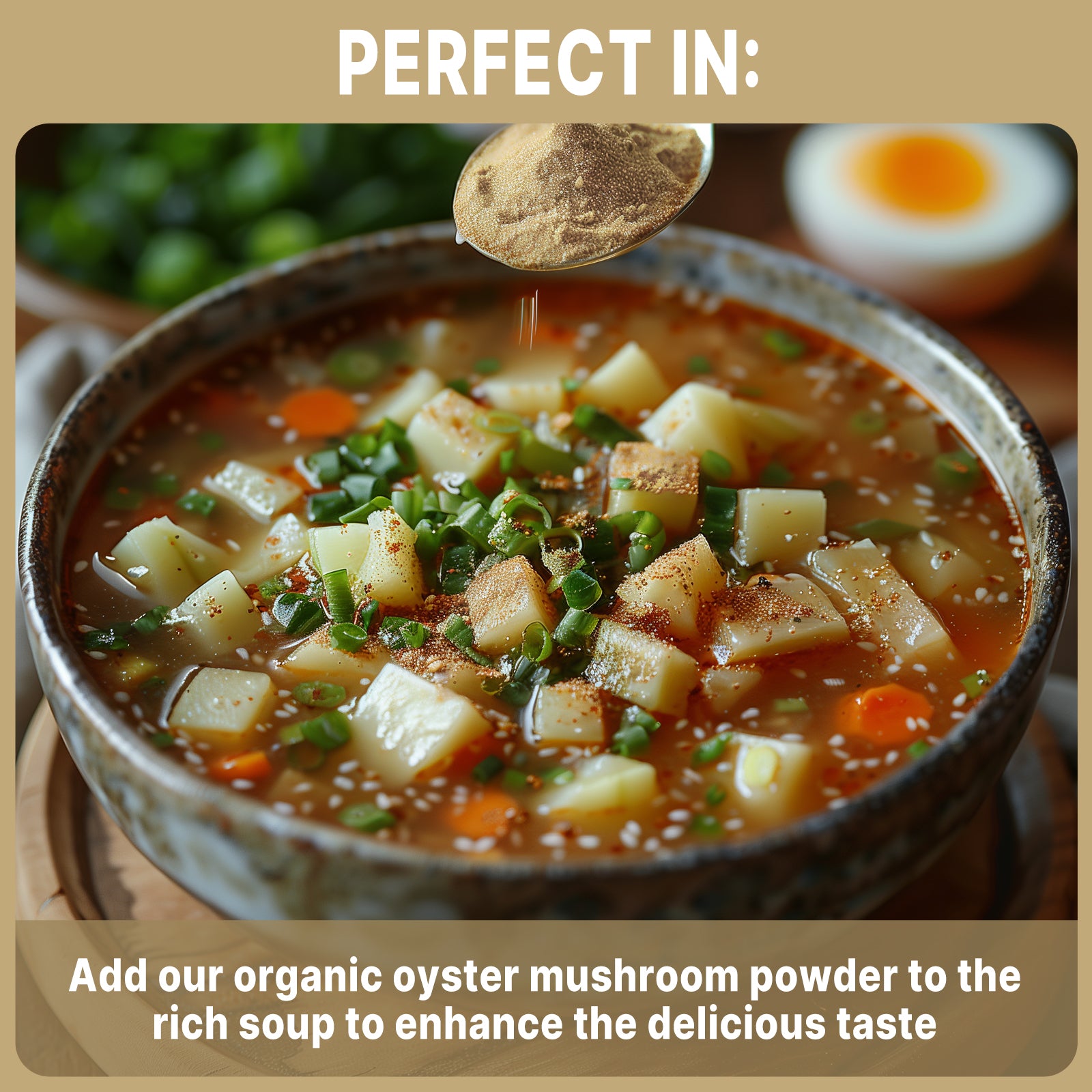 Organic Oyster Mushroom Powder 16 Ounce