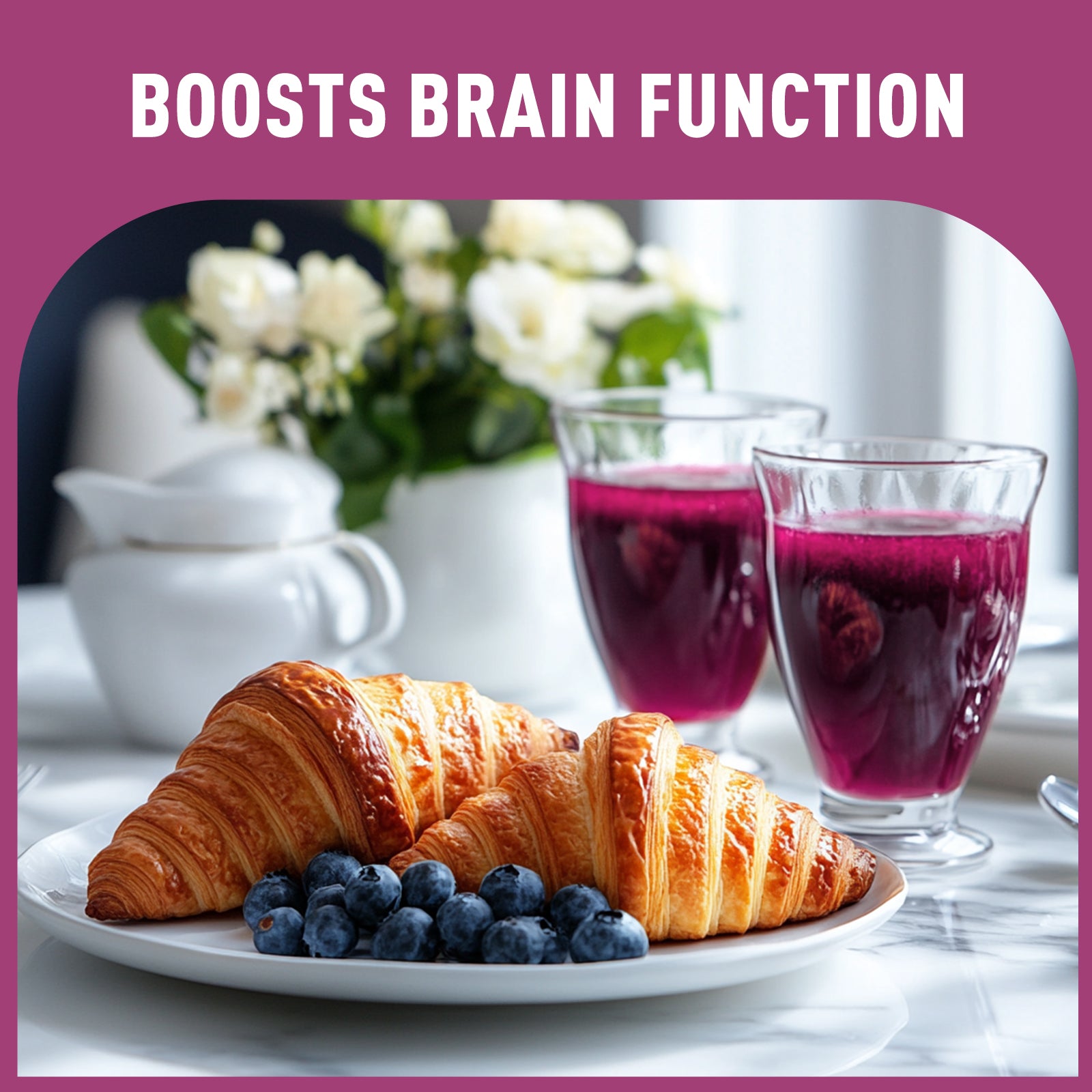 Organic Blueberry Juice Powder 16 oz