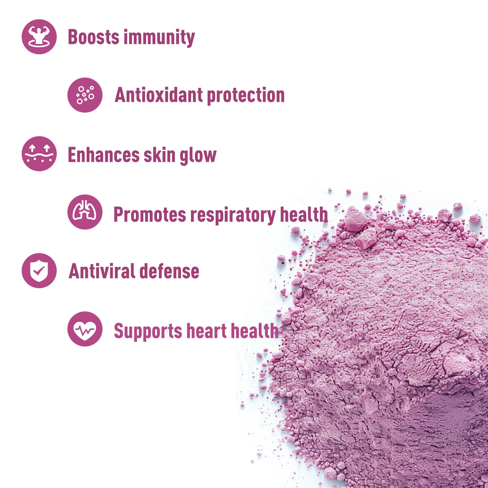 Organic Elderberry Juice Powder 16 oz